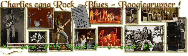 Boogierock, Southern Rock, Sydstatsrock, Bluesrock är svängigast !
